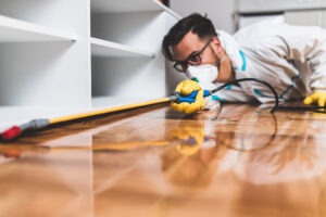 2026-02-LampPestproofWildlifeControl-BlogM2-Spring-Termite-Inspections.